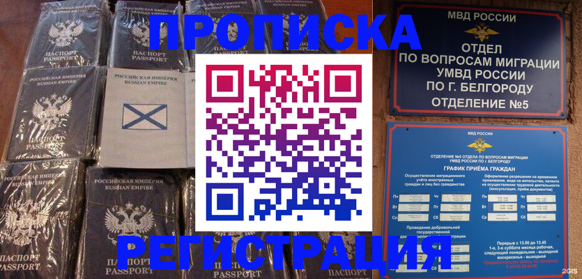 прописка гарантия в Новомосковске
